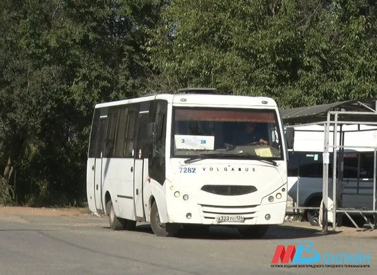 На дороги Волгограда снова выйдут дачные автобусы